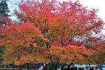 00DSC_3572