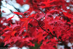 00DSC_3581