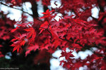 00DSC_3582