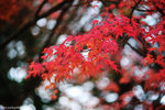 00DSC_3594