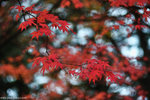 00DSC_3596