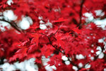 00DSC_3597