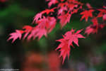 00DSC_3601