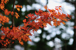 00DSC_3606