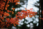 00DSC_3607