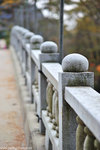 00DSC_3620