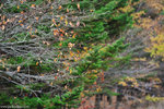 00DSC_3626
