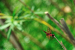 00DSC_4512