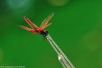 00DSC_4514