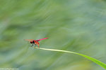 00DSC_4548