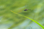 00DSC_4550