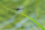 00DSC_4551