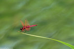 00DSC_4562