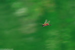 00DSC_4605