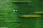 00DSC_4630