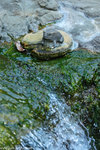 00DSC_4693