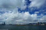 00DSC_5239