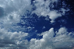00DSC_5266