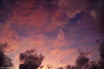 00DSC_5337
