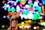 00DSC_5451