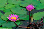00DSC_8935