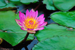 00DSC_8936