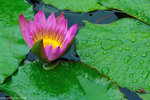 00DSC_8941