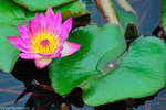 00DSC_8946