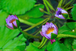 00DSC_8981