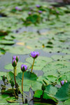 00DSC_9015