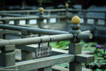 00DSC_9023