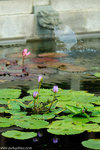 00DSC_9025