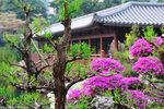 00DSC_9111