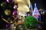 00DSC_9324