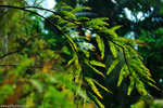 00DSC_0093