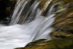 00DSC_0132