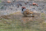 00DSC_0175