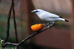 00DSC_0245