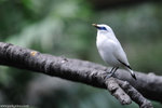00DSC_0265