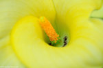00DSC_0455