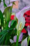 00DSC_0456