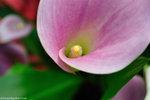 00DSC_0460