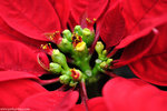 00DSC_0477