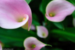 00DSC_0478