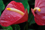 00DSC_0496
