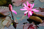 00DSC_0083