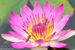 00DSC_0178