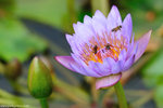 00DSC_0196