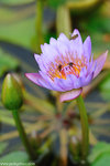 00DSC_0199
