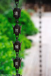 00DSC_0244